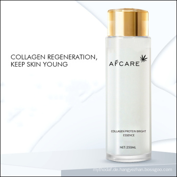 Großhandel OEM Collagen Protein Bright Essence für feuchtigkeitsspendende, nährende Hautpflege, zarte und glatte Essenz